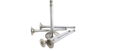 YM129900-11100 VALVE,INT (4 ADET)