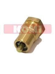 DK487021-2420 VALVE