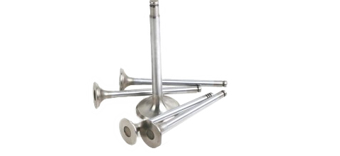 YM129900-11100 VALVE,INT  (4 ADET)
