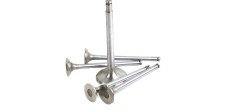 YM129900-11100 VALVE,INT  (4 ADET)