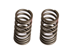 6204-41-4431 SPRING
