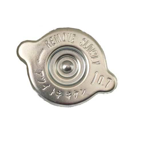 125-03-21210 CAP ASSY