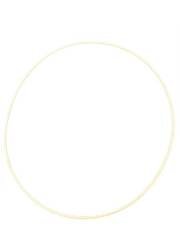 144-15-22881  SEAL RING