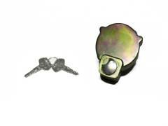 17A-60-11310 CAP