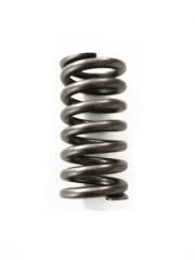 708-25-17250 SPRING