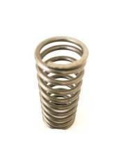 715381C1 SPRING