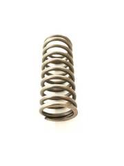715381C1 SPRING